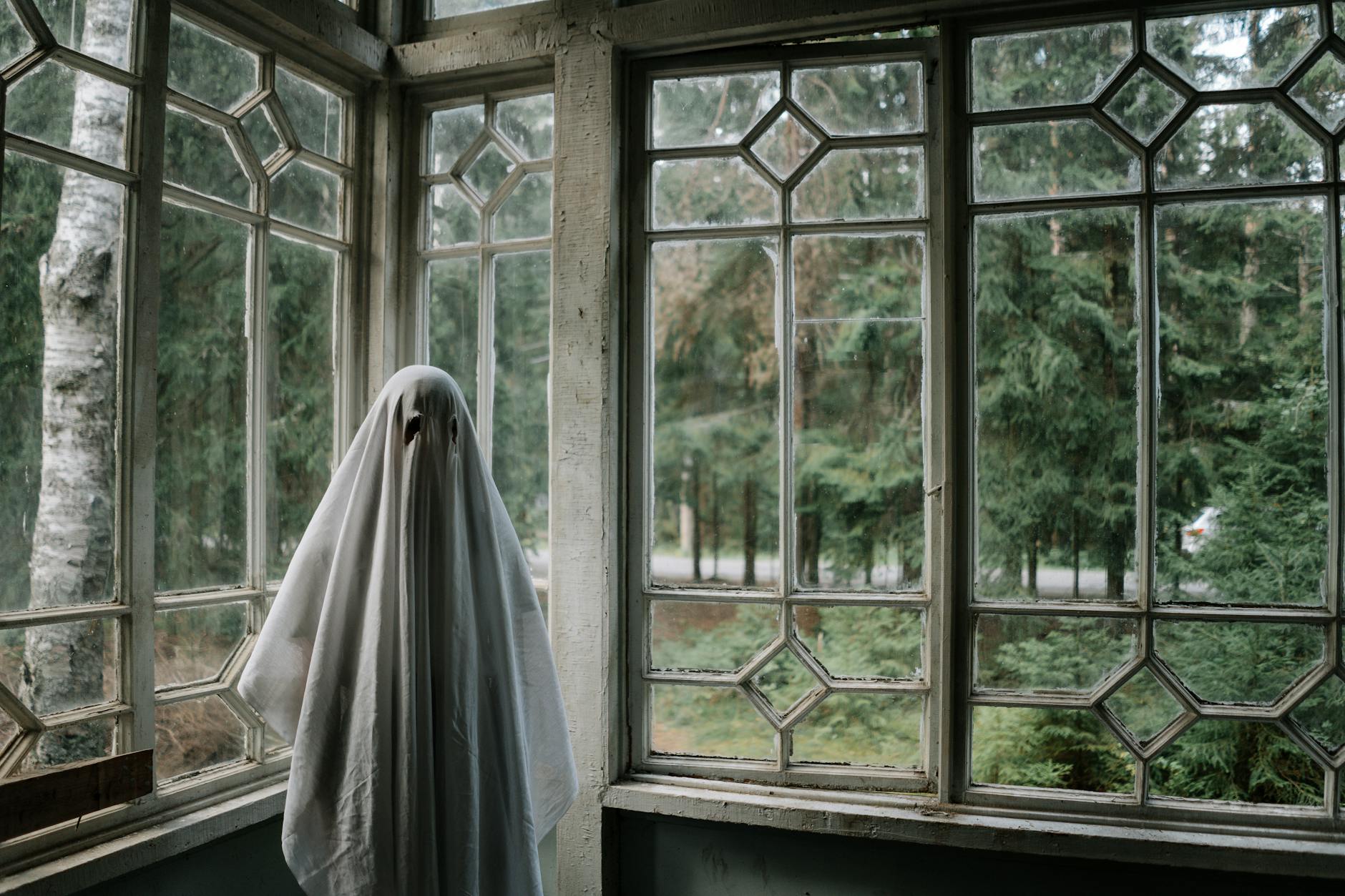 person in ghost costume standing beside windows