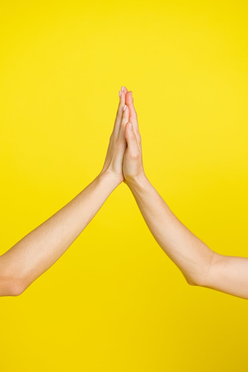 close up photo of people doing high five