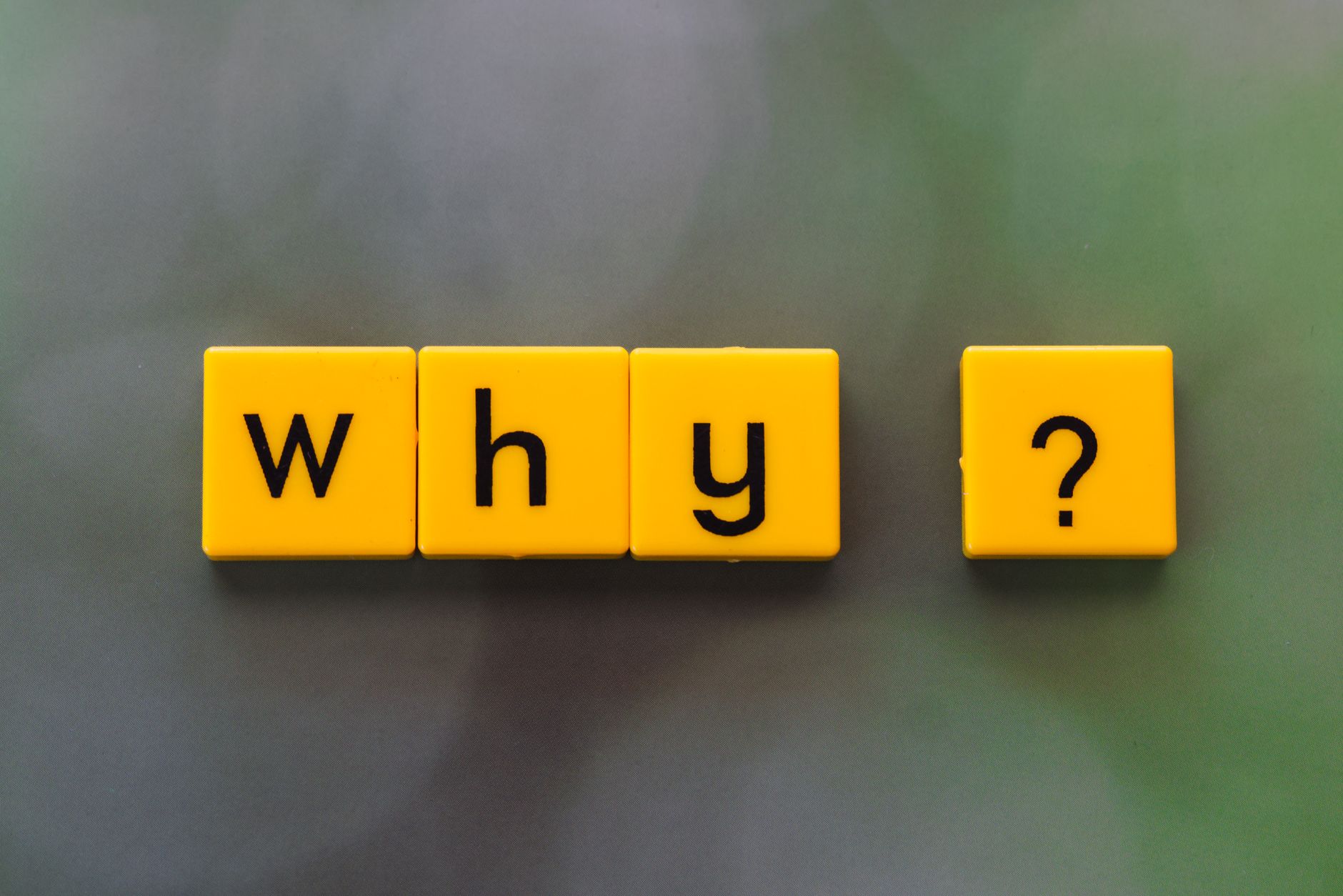 yellow tiles spelling why on green background